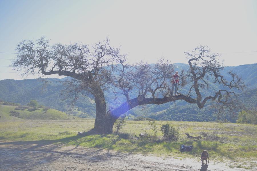 Almaden