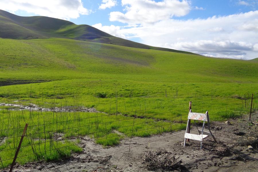 Patterson Pass