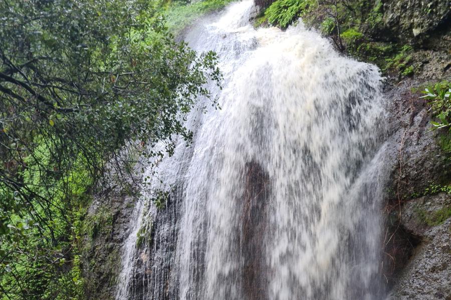 Tehan falls